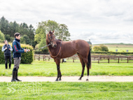 HC240925-57 - Rousham